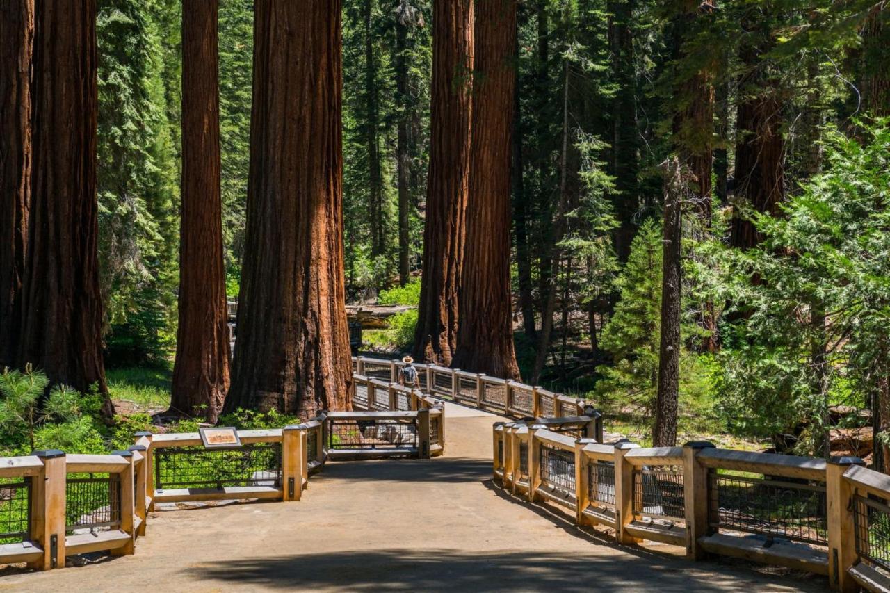 Fairfield Inn & Suites By Marriott Oakhurst Yosemite Dış mekan fotoğraf