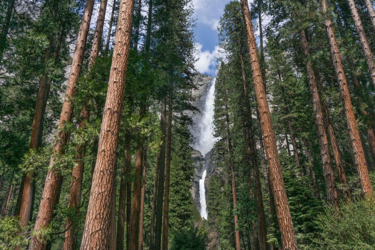 Fairfield Inn & Suites By Marriott Oakhurst Yosemite Dış mekan fotoğraf